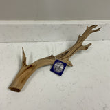 Branch
