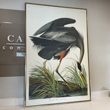 Blue Heron Canvas in Gold Frame ( As is )