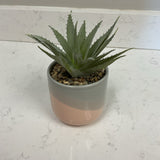 Faux Aloe Succulent in Planter