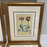 Set of 6 Botanical Art Prints
