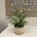 Greenery in White Planter