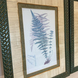 Pair of Botanical Prnts