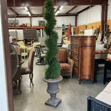 Topiary Tree