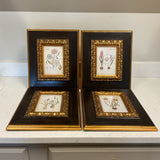 Set of 4 Botanical Framed Art