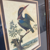 Set of 3 Exotic Bird Prints