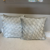 Pair of Pillows (R)