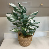 Basket with Greenery