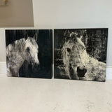 Pair of Horse Canvases (R)