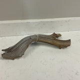 Branch
