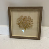 Gold Coral Shadow Box