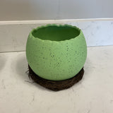 Egg Planter