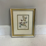 Anne Worsham Richardson Bird Art