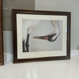 Whooping Crane Print