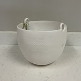 White Honey Pot Planter (R)