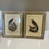 Pair of Wood Frame Bird Prints