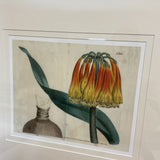 Set of 4 Botanical Prints
