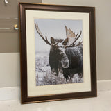 Moose Print
