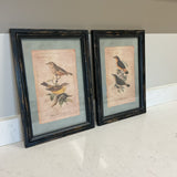 Pair of Bird Prints
