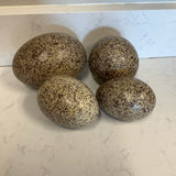 Set of 4 Speckled Porcelain Eggs