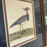 Set of 3 Exotic Bird Prints
