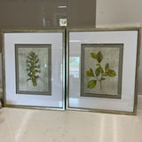 Pair of Uttermost Botanical Prints