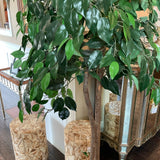Faux Tree in Round Basket