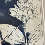 Set of 4 Napa &  Garden Studio Floral Sketches in White Frames