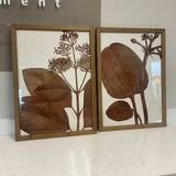 Pair of White and Brown Botanicals