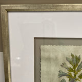 Pair of Uttermost Botanical Prints
