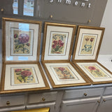 Set of 6 Botanical Art Prints