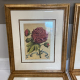 Set of 6 Botanical Art Prints