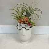 Glasses Vase with Succulents