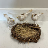 Set of Birds W/ Nest