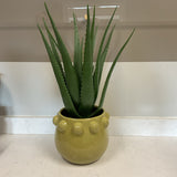 Faux Aloe in Pot