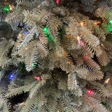 6'.5" Balsam Hill Fraser Fir Flip Pre-Lit Tree (R)