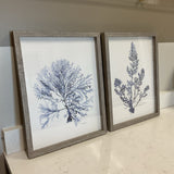 Pair of Under the Sea Prints