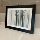 Birch Tree Art