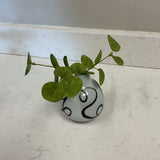 White and Black Bud Vase with Greenery
