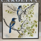 Blue Jay Painting by Bryan Wilson