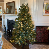 Balsam Hill 6ft. Pre- Lit Christmas Tree with Remote and Storage Bag (R)