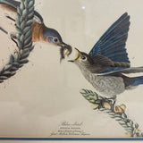 Blue Bird Art