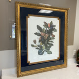 Magnolia Boat Tailed Grackles Art