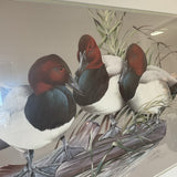 Duck Print by Art LaMay (R)