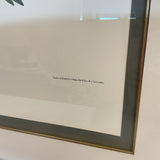 Limited Edition Carolina Parrot Print