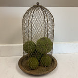 Wire Cloche with Moss Balls