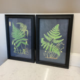 Pair of Napa Home Fern Art
