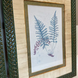 Pair of Botanical Prnts