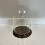 Clear Dome with Wood Base