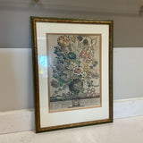 March Botanical Art