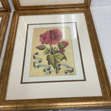Set of 6 Botanical Art Prints